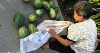 吃瓜最新事件爆料汾阳,揭秘吃瓜群众热议的最新事件内幕”