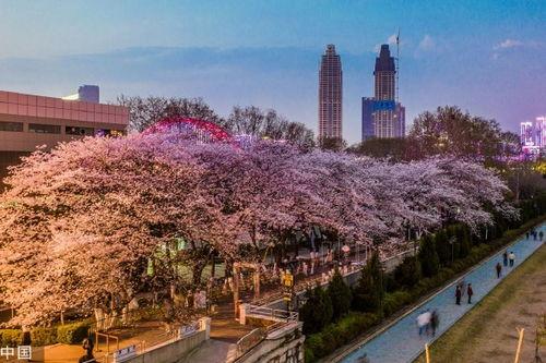 吃瓜爆料抖音网红红酒,揭秘网红背后的“吃瓜”故事