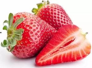 解剖吃瓜爆料,吃瓜背后的惊人真相