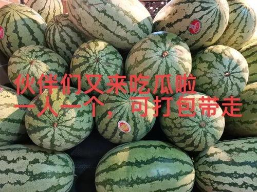 吃瓜爆料大瓜
