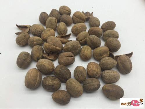吃瓜爆料小巴豆视频大全,视频大全背后的热点事件